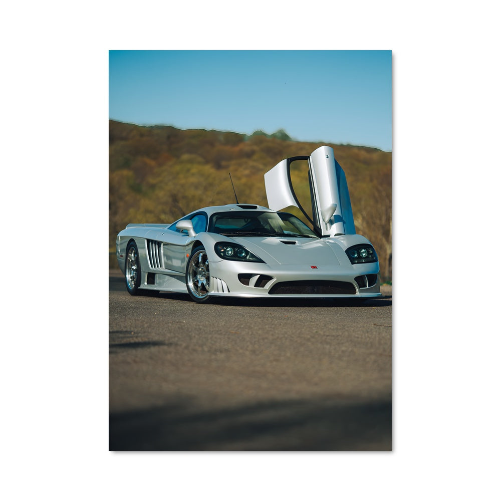 Poster Saleen 79557