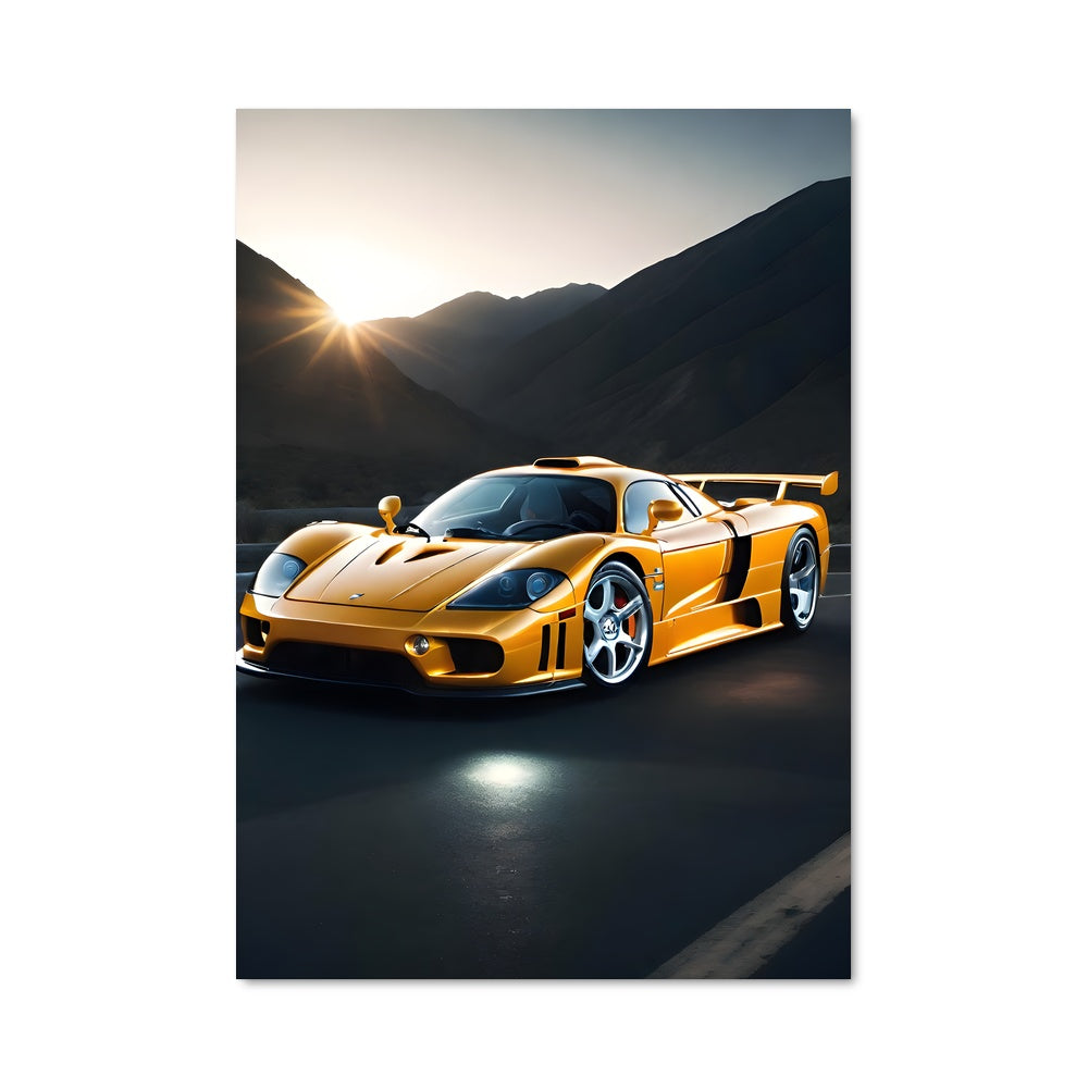 Poster Saleen 79564