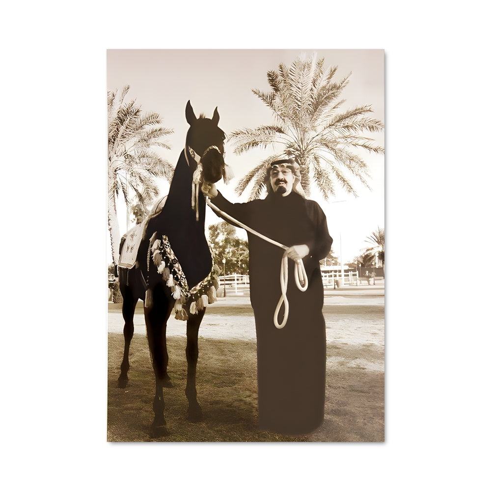 Poster Chevalier du Désert