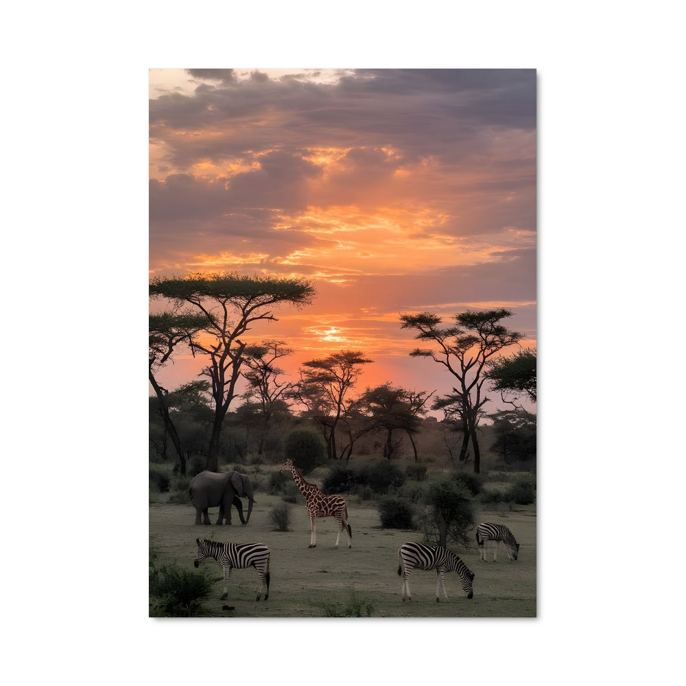 Poster Savanes Rayées