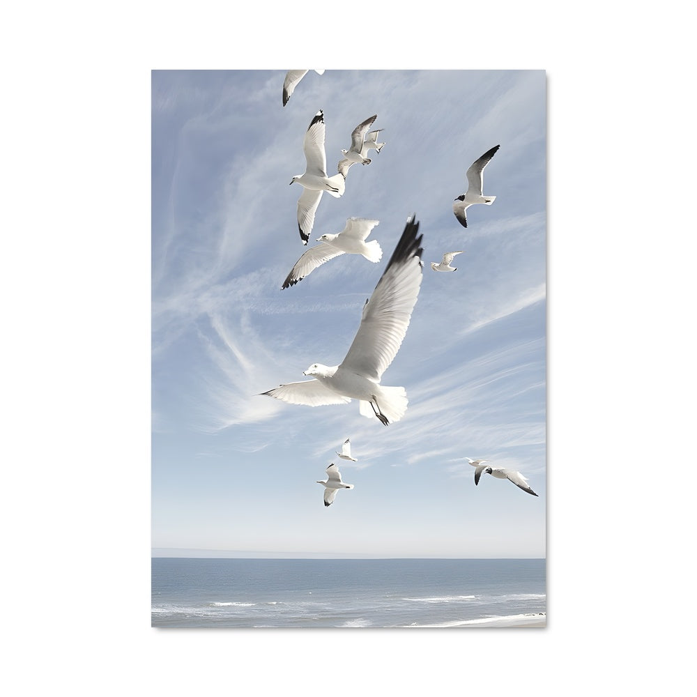 Poster Vol de Mouettes