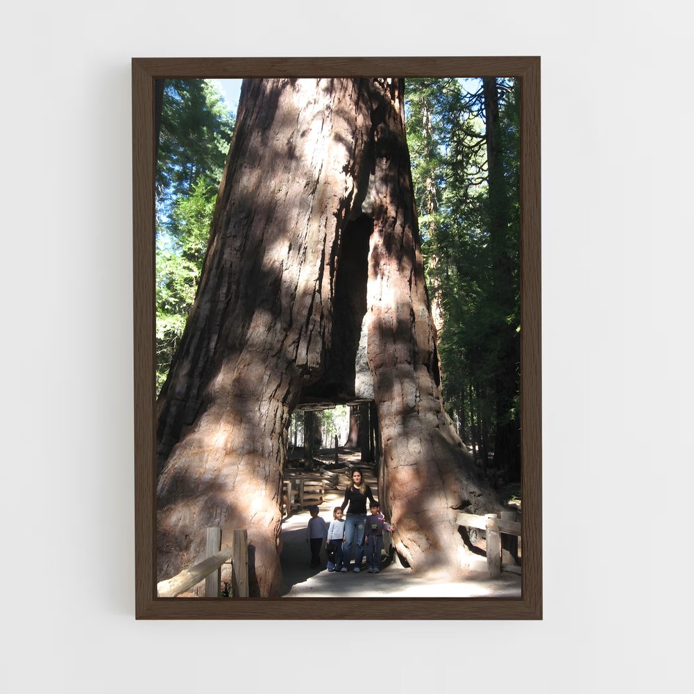 ap-sequoia-1 cadre Bois foncé