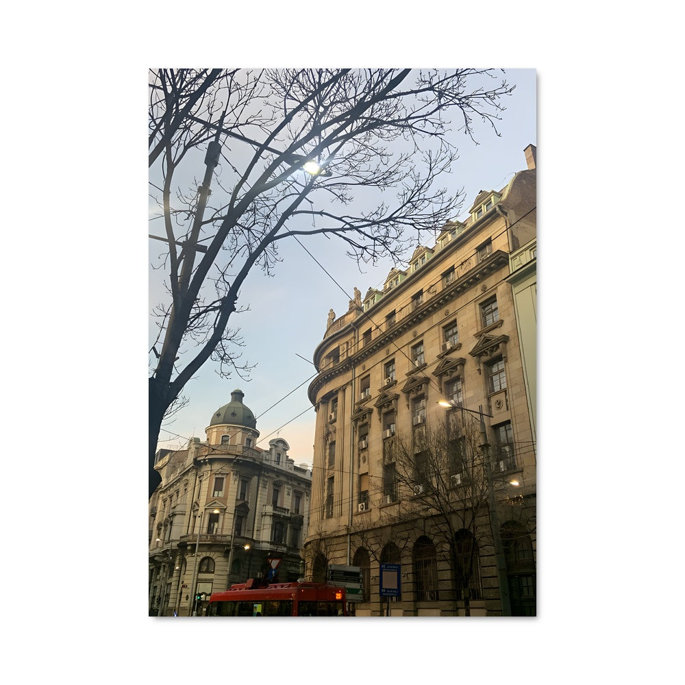 Poster L'Arbre Déchu