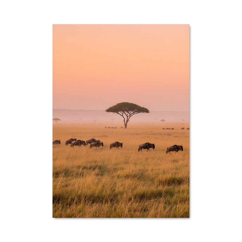 Poster Harmonie des Zèbres