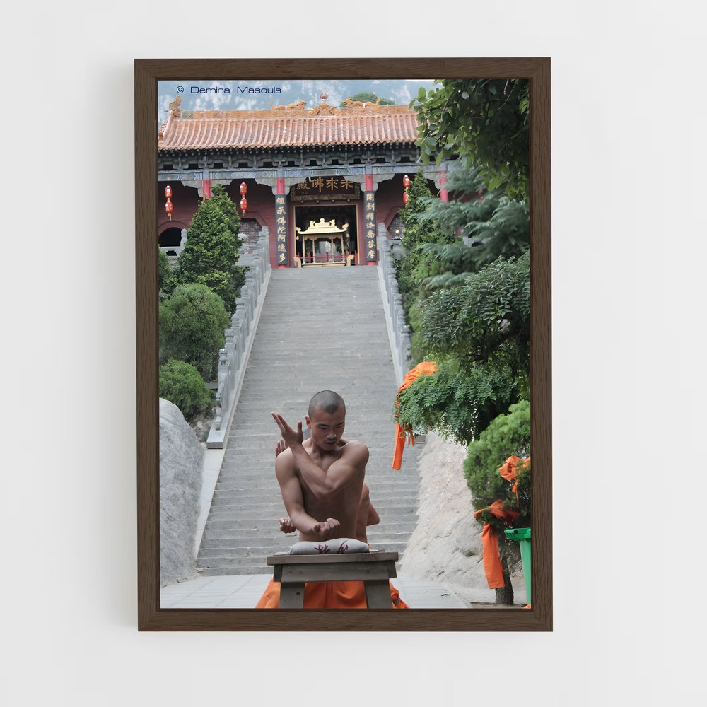 ap-shaolin temple-5 cadre Bois foncé