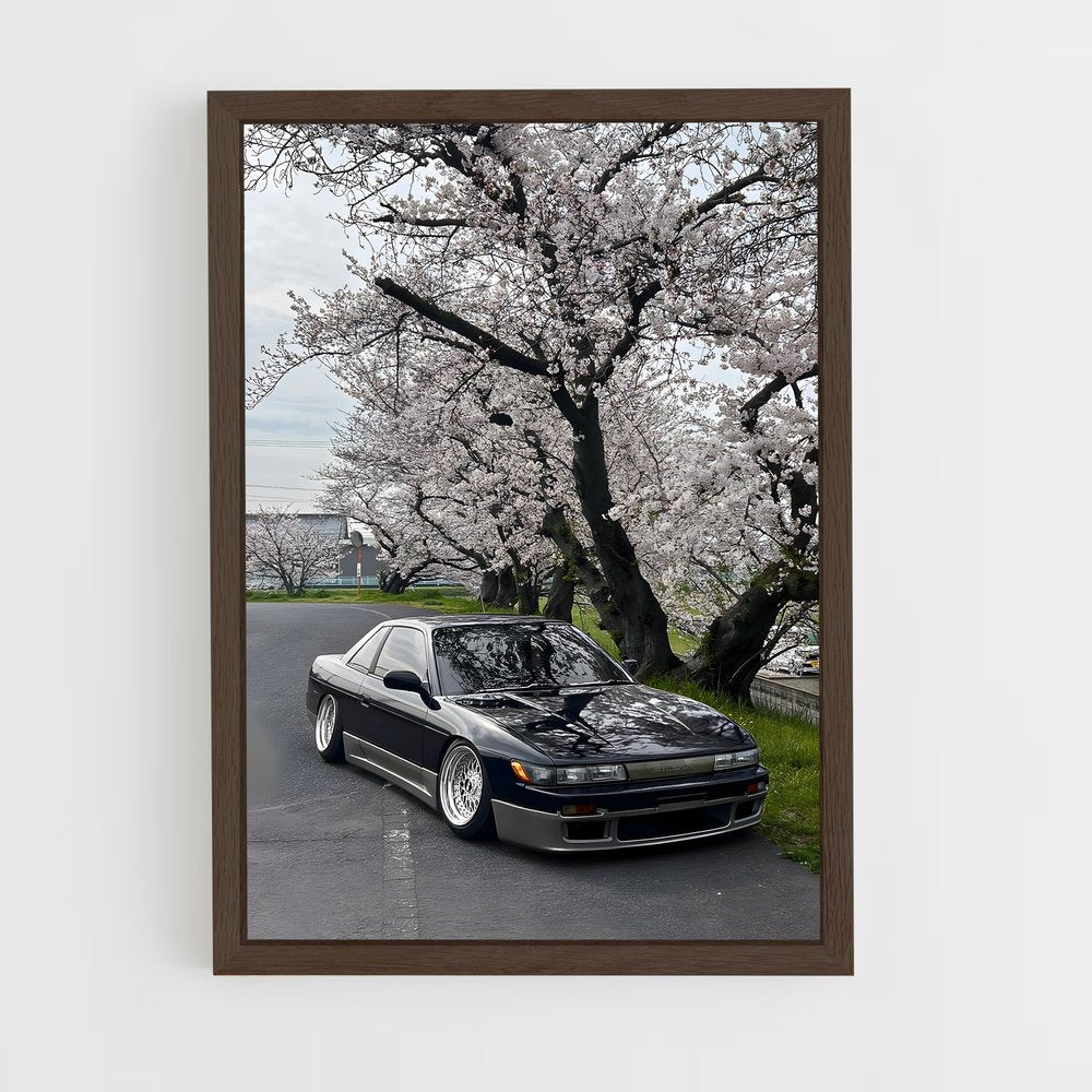 ap-silvia s13-3 cadre Bois foncé
