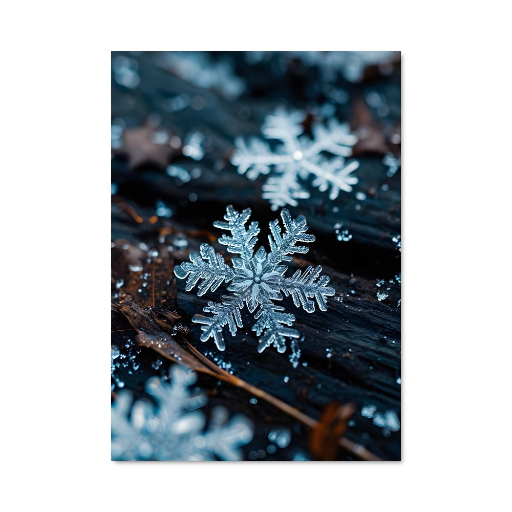 Poster Flocons de Vague