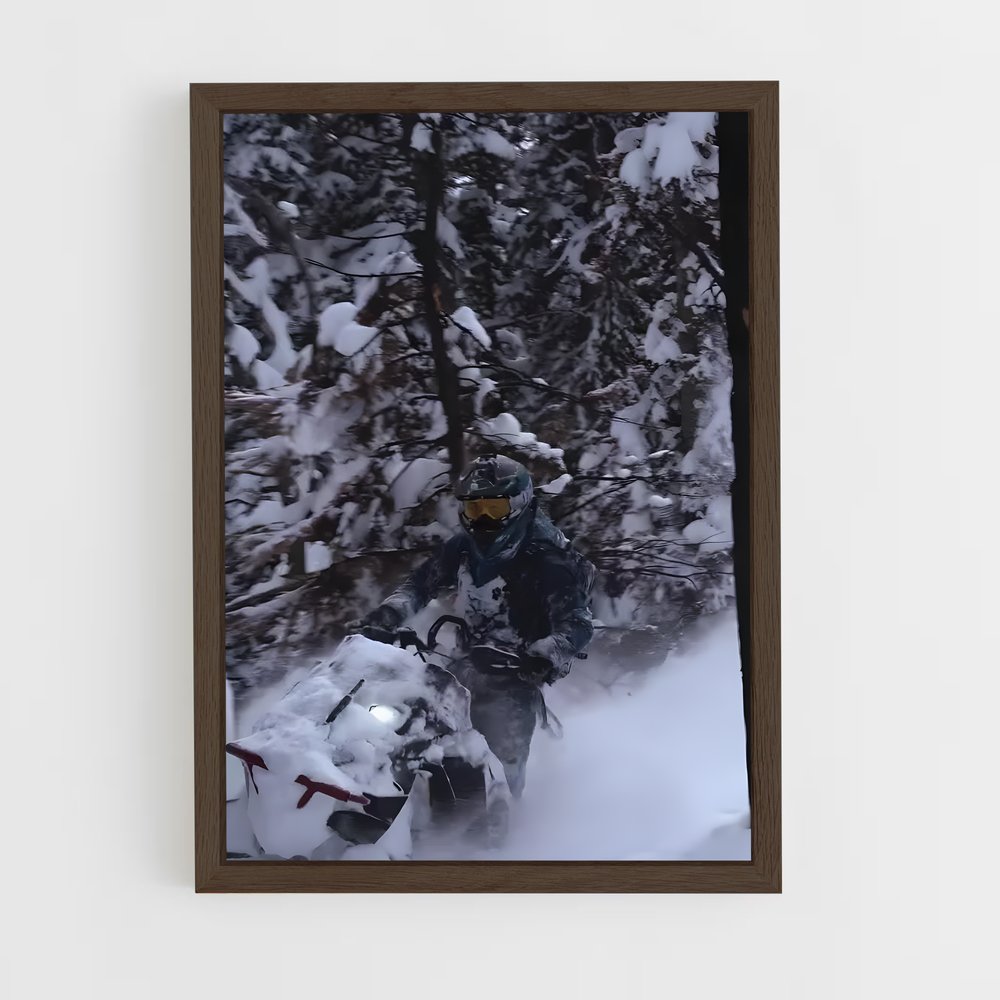 ap-snowmobiles-3 cadre Bois foncé