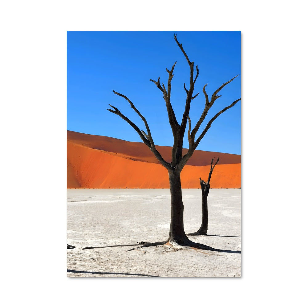Poster Arbre des Sables