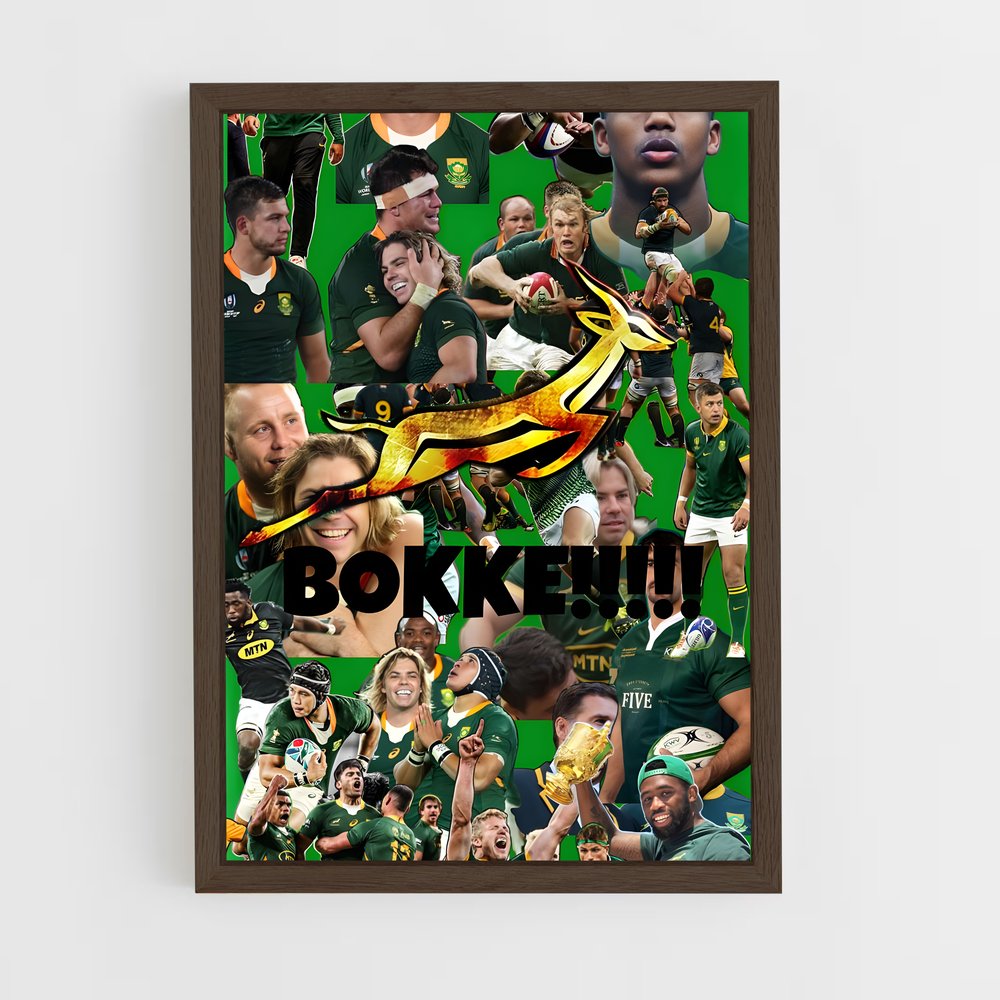 ap-south africa springboks-1 cadre Bois foncé