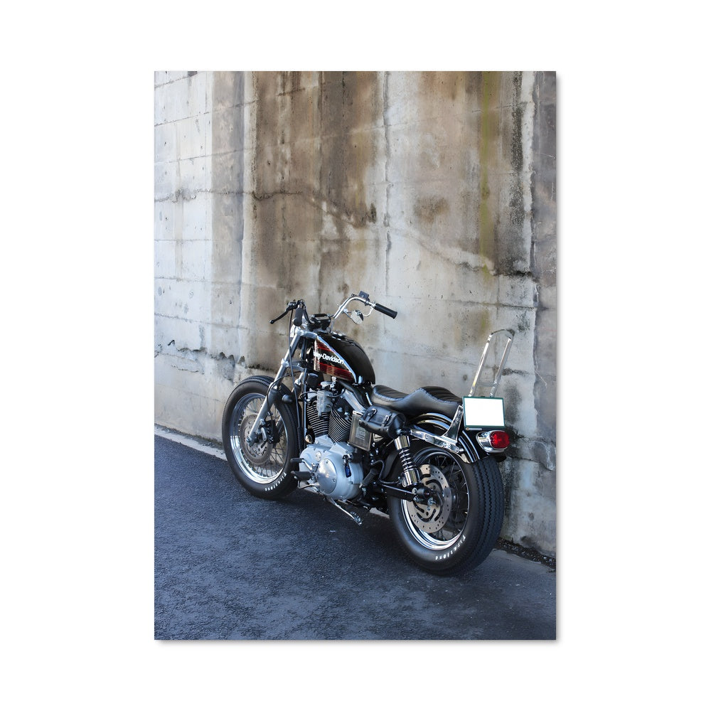 Poster Sportster 82231