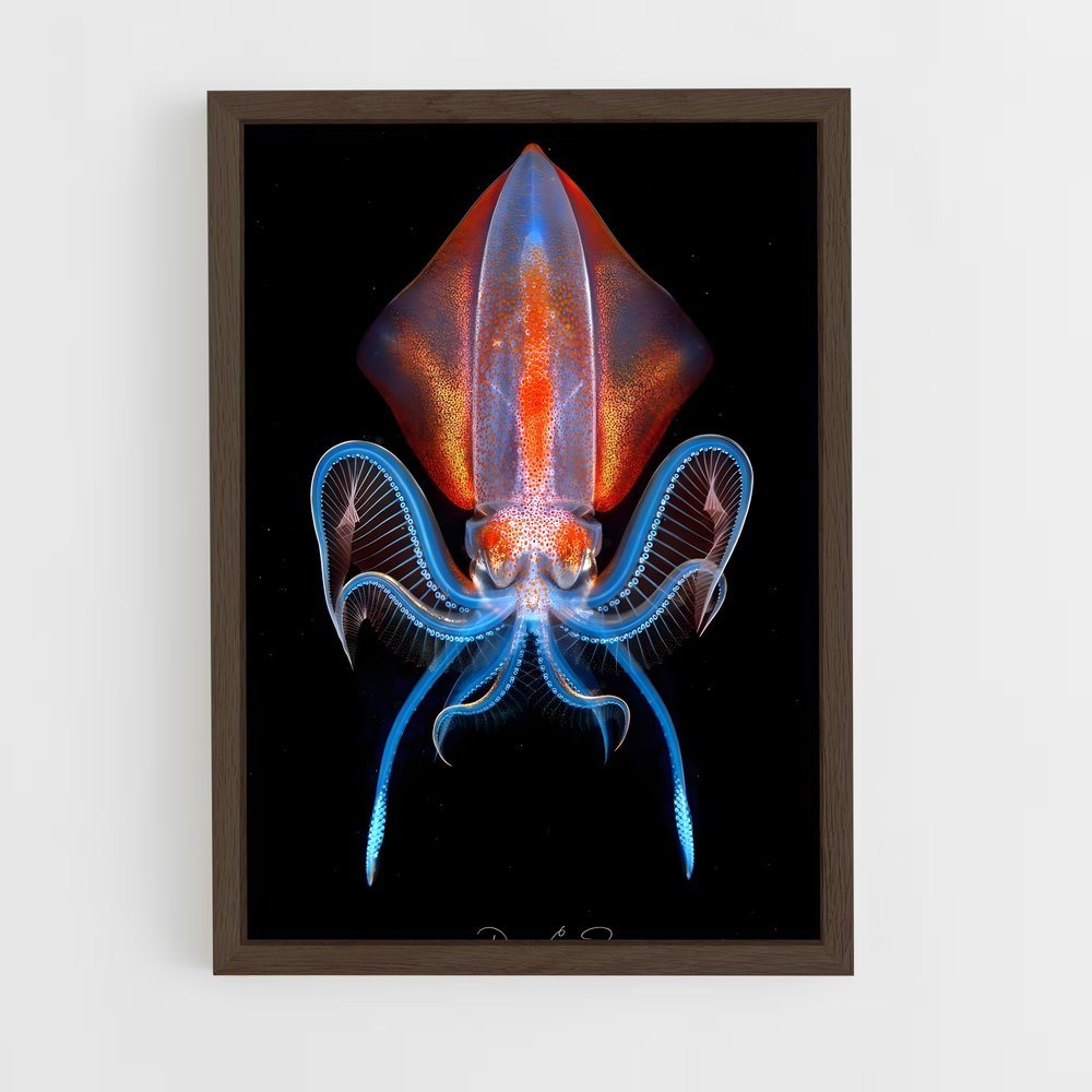 ap-squid-2 cadre Bois foncé