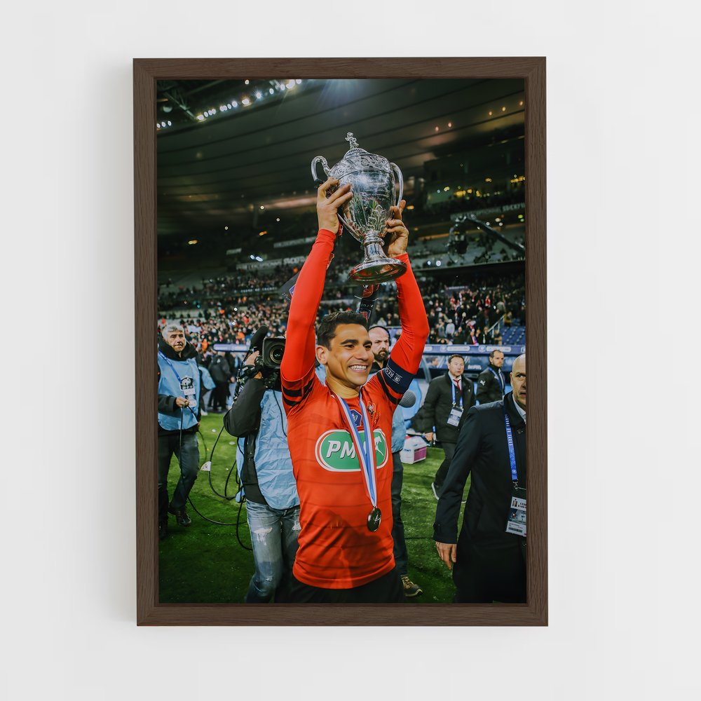ap-stade rennais fc-6 cadre Bois foncé
