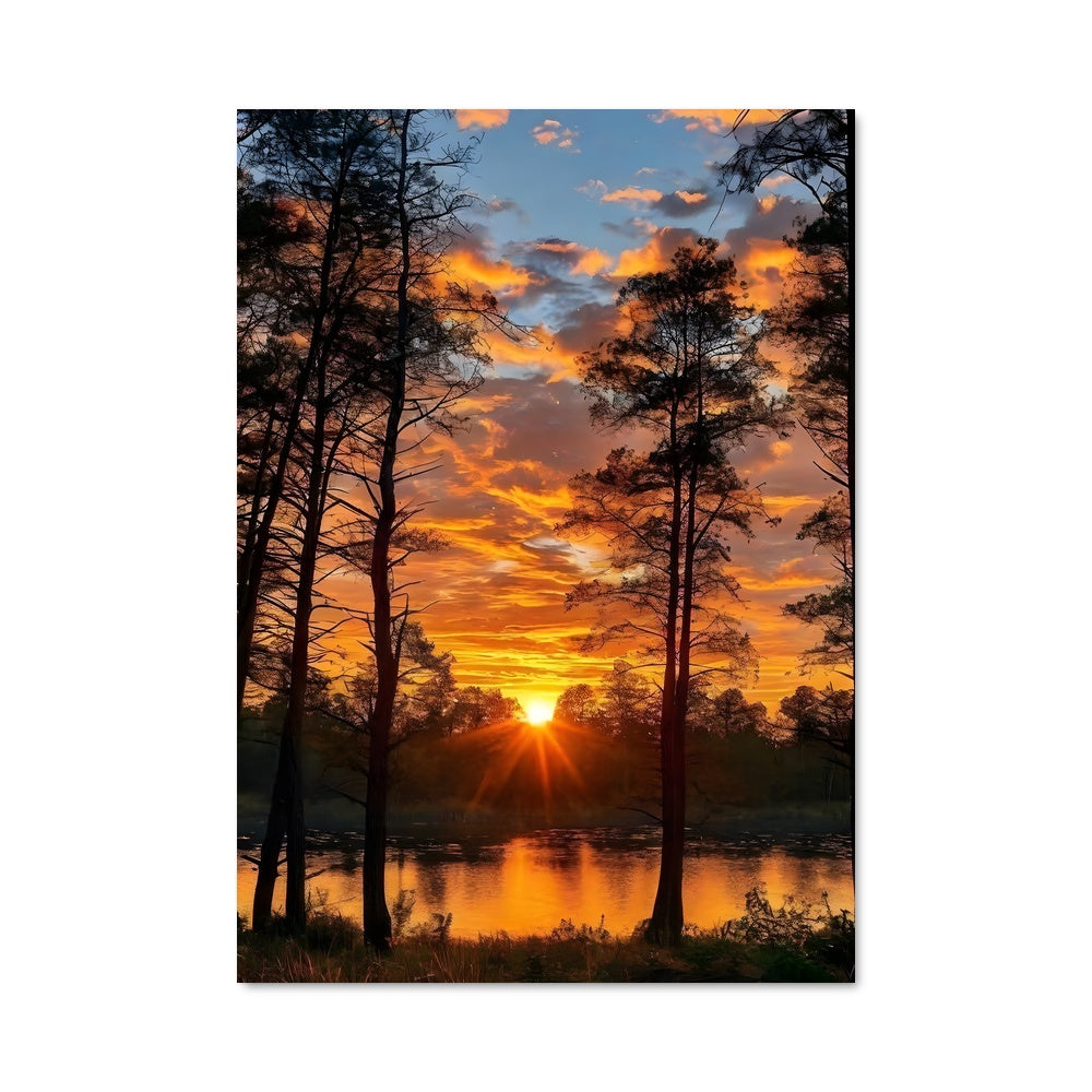 Poster Sunrise 97811