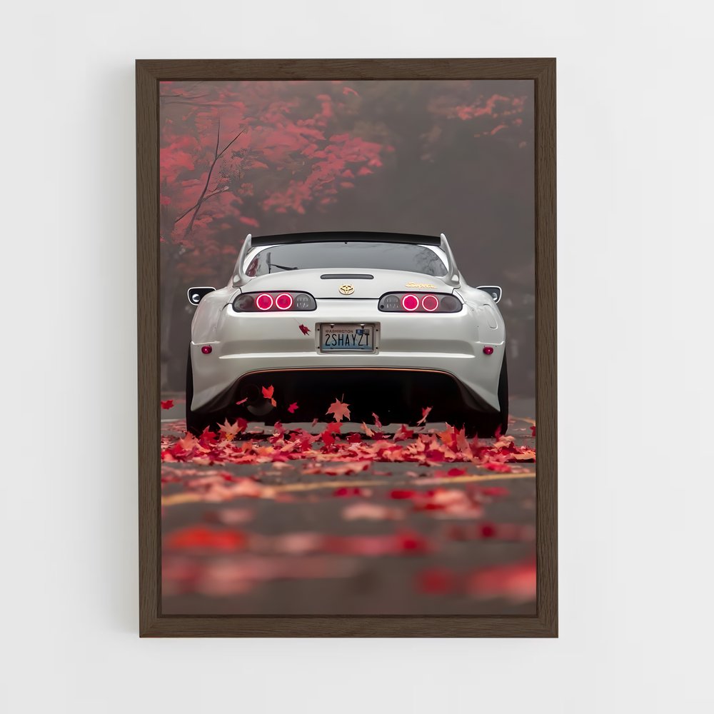 ap-supra a80-4 cadre Bois foncé