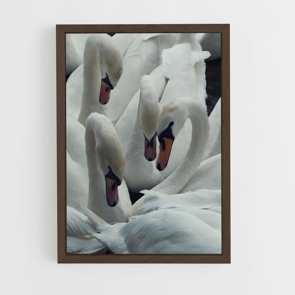 ap-swan-7 cadre Bois foncé