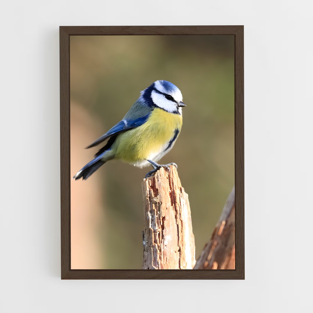 ap-tit-2 cadre Bois foncé
