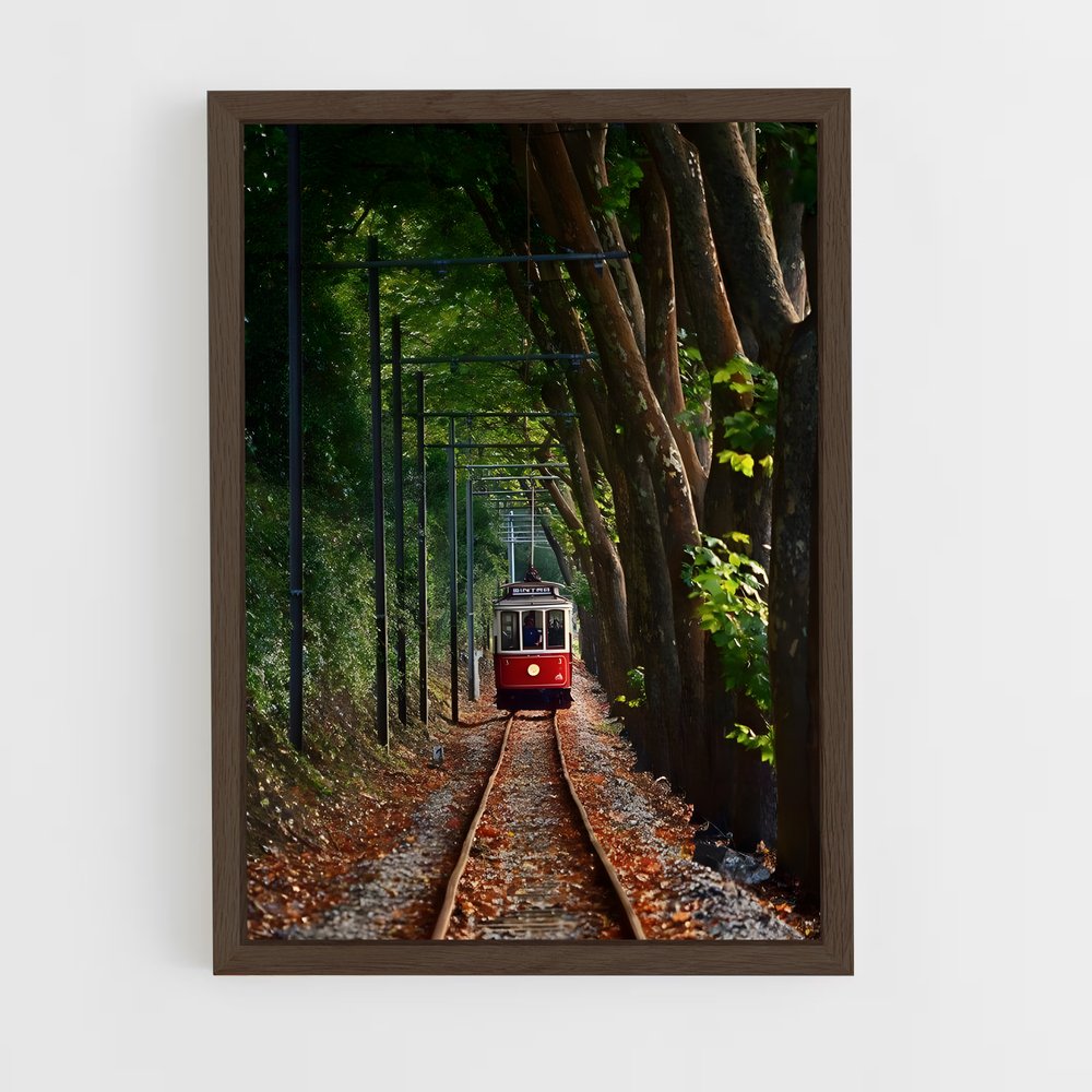 ap-trams-5 cadre Bois foncé