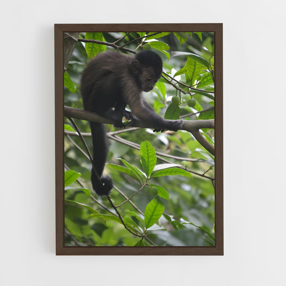 ap-tresor nature reserve-1 cadre Bois foncé