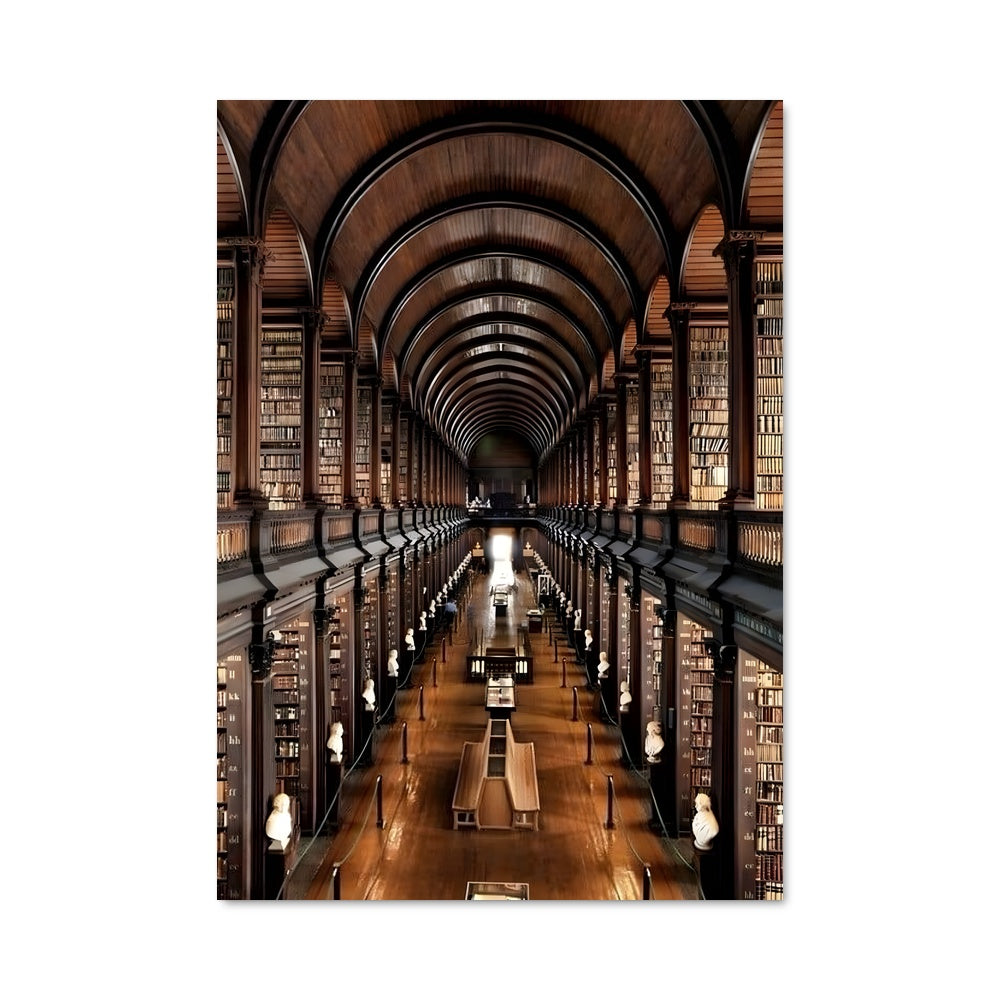 Poster La Bibliothèque Éternelle