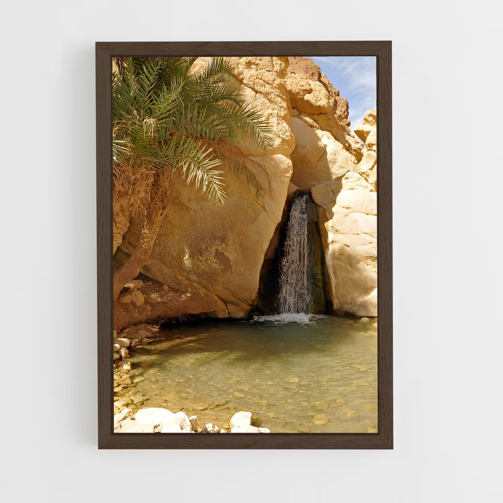 ap-tunisia-6 cadre Bois foncé
