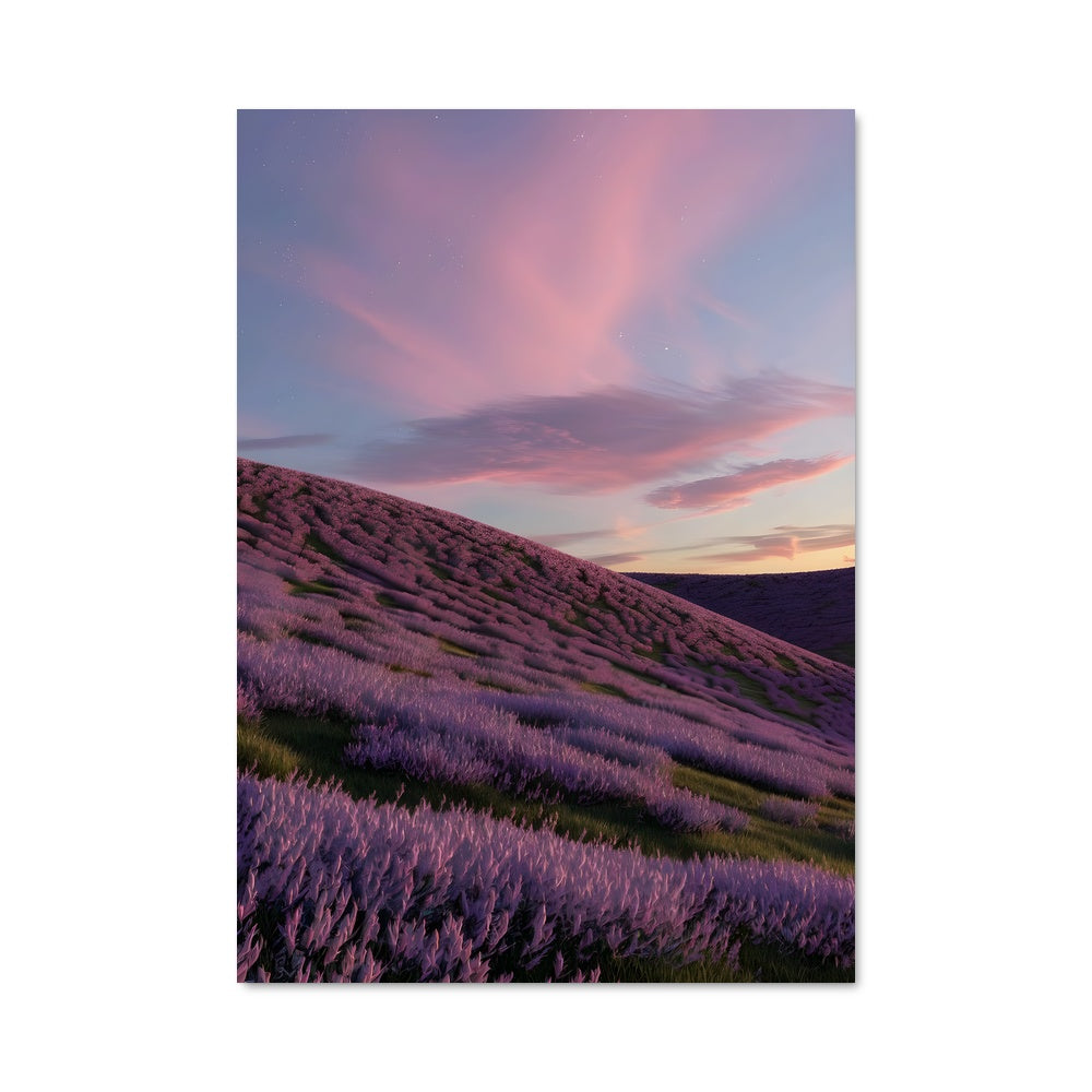 Poster Lavande en Lumière