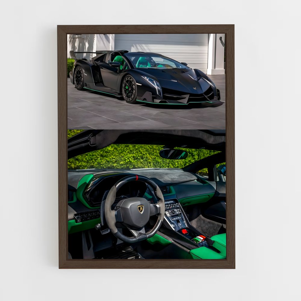 ap-veneno roadster-6 cadre Bois foncé
