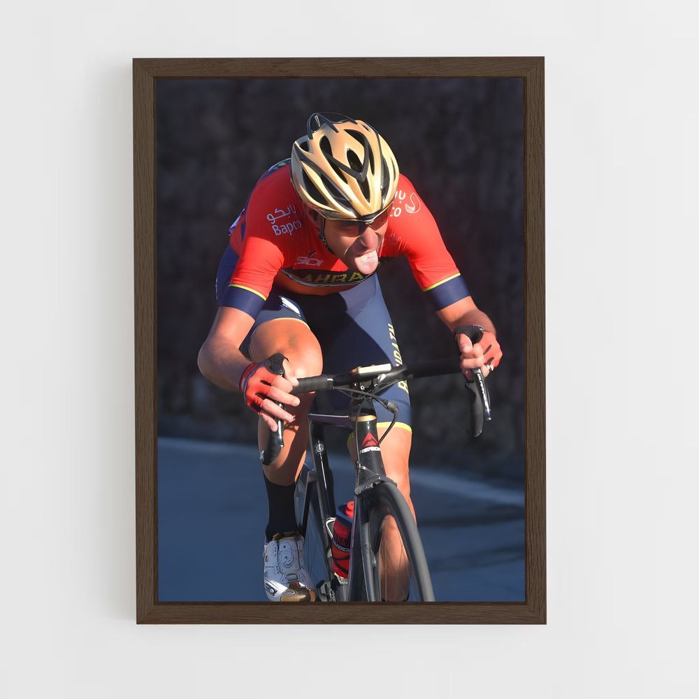 ap-vincenzo nibali-7 cadre Bois foncé
