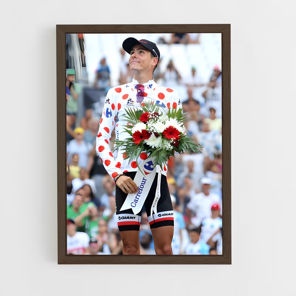 ap-warren barguil-5 cadre Bois foncé