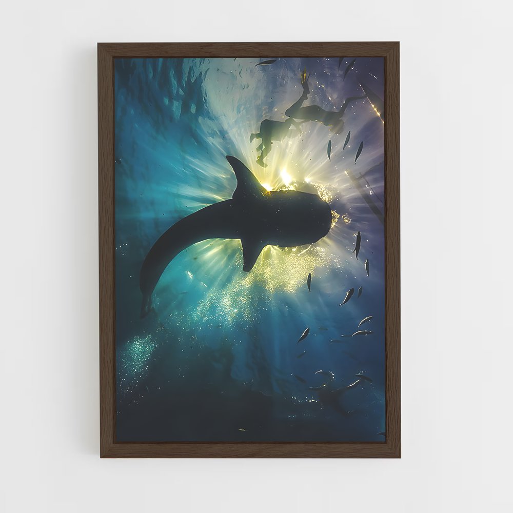 ap-whale shark-1 cadre Bois foncé