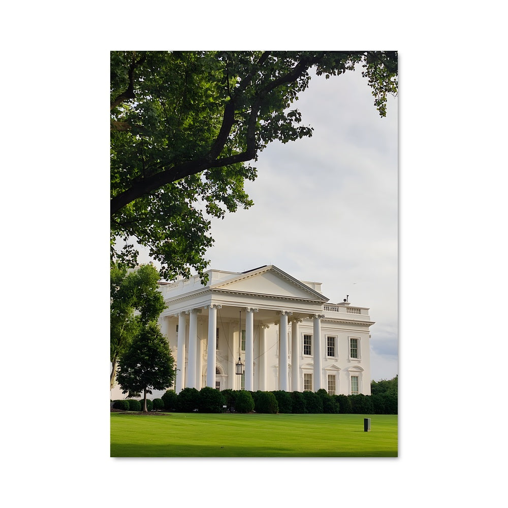 Poster White house 93365