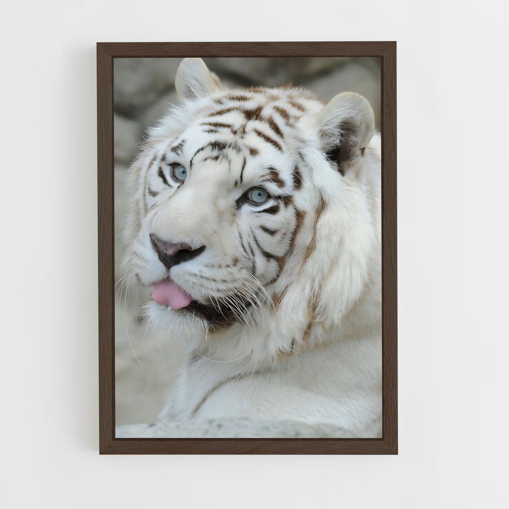 ap-white tiger-12 cadre Bois foncé
