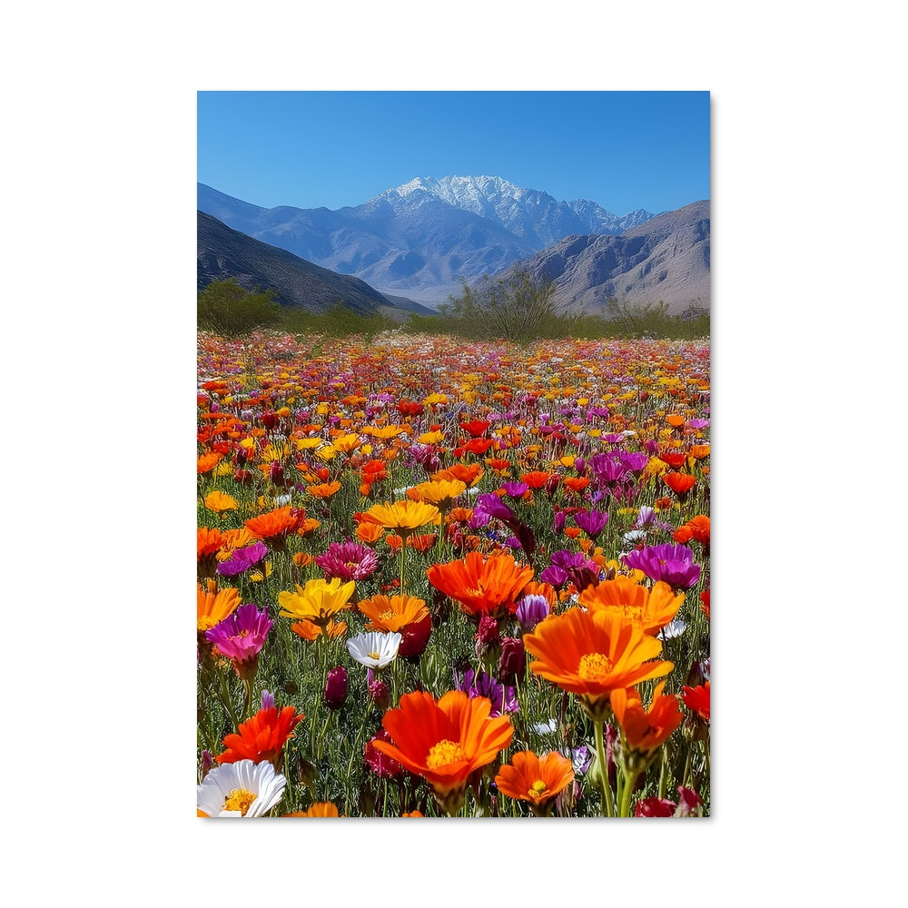 Poster Wildflower field 97425
