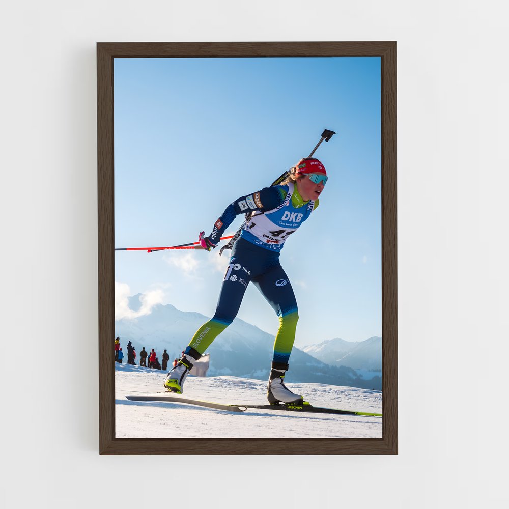 ap-world cup biathlon-3 cadre Bois foncé