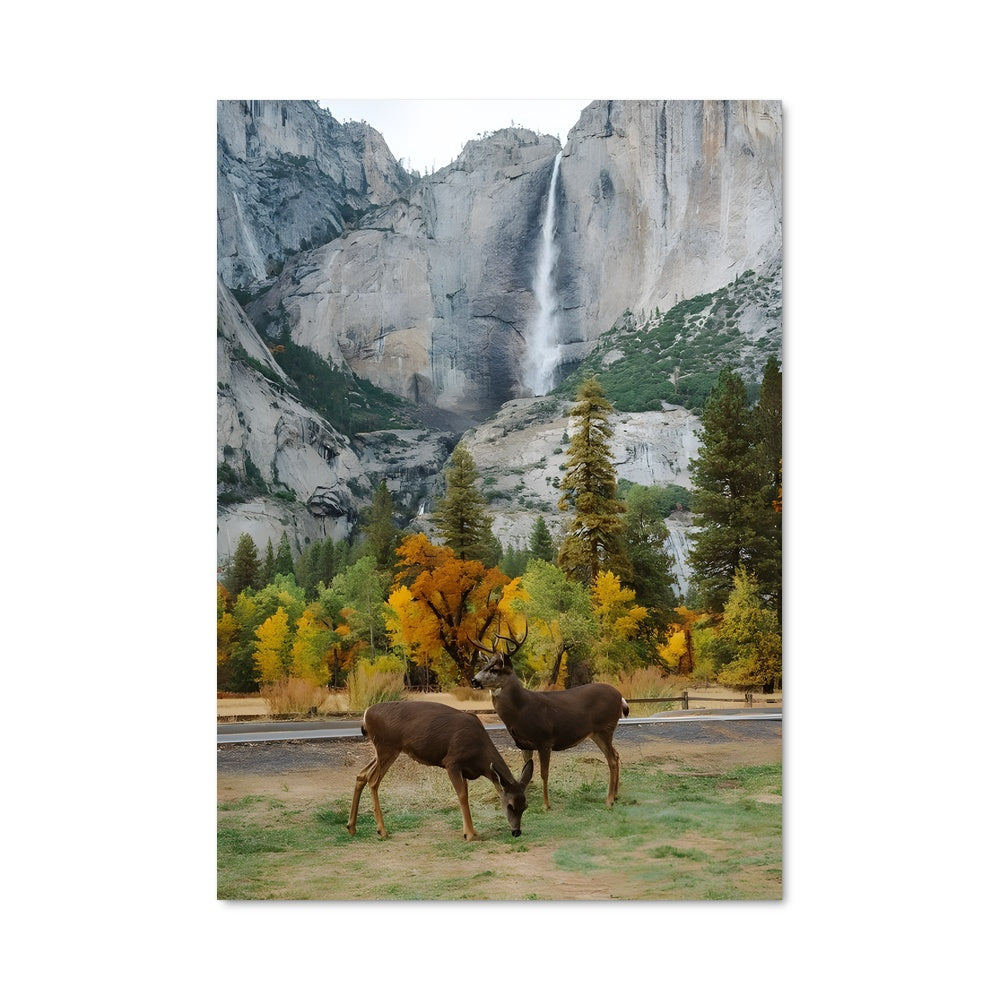 Poster Élan des Cascades