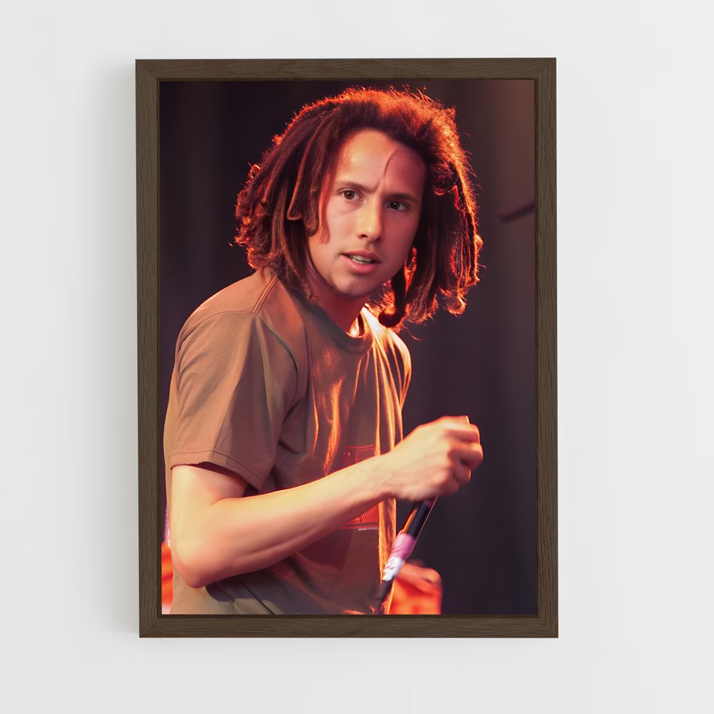 ap-zack de la rocha-4 cadre Bois foncé