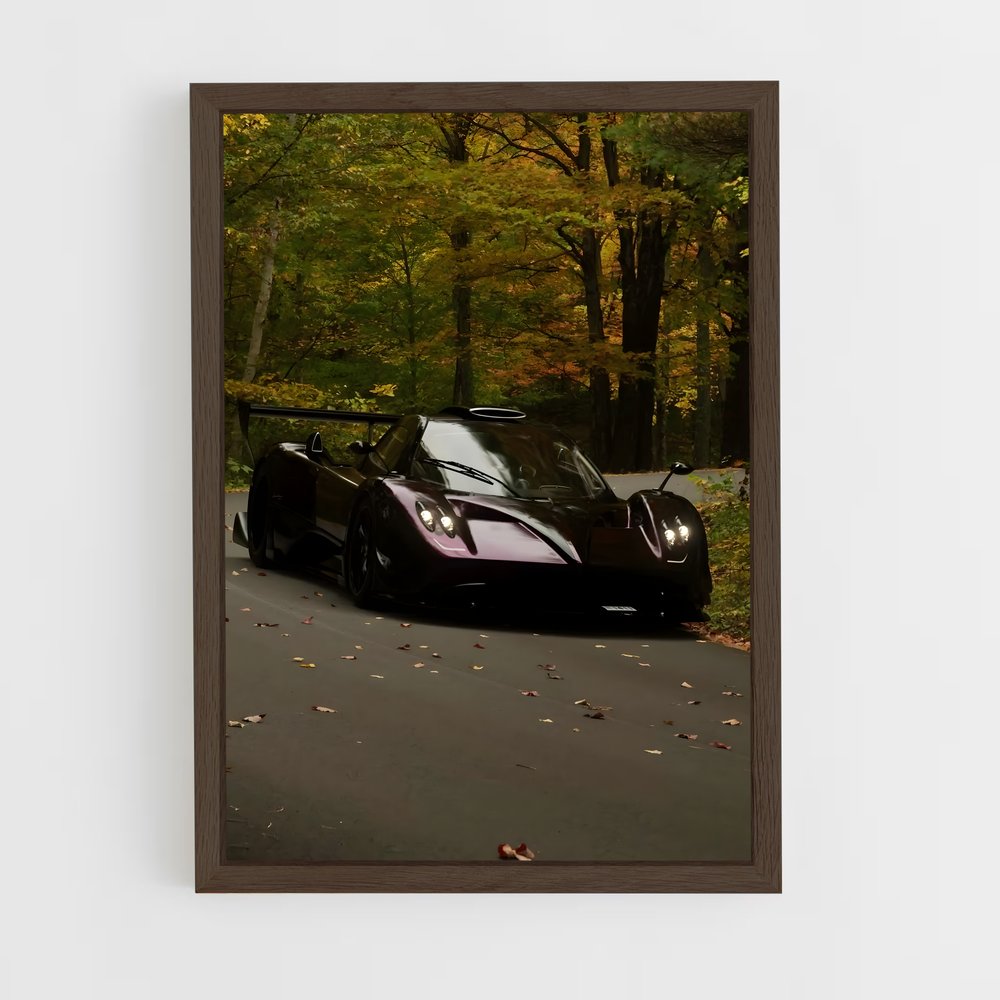 ap-zonda r-2 cadre Bois foncé