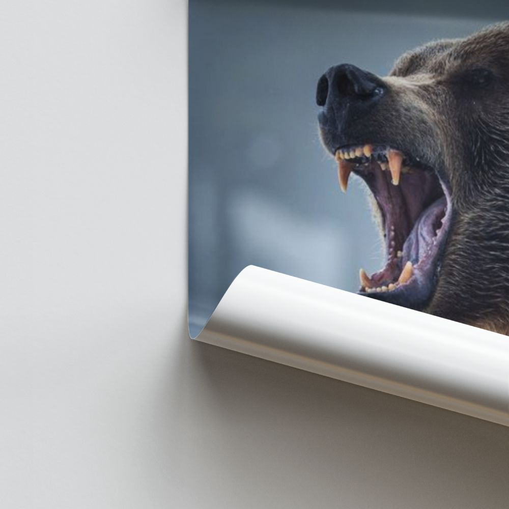 Manifesto dell'orso bruno