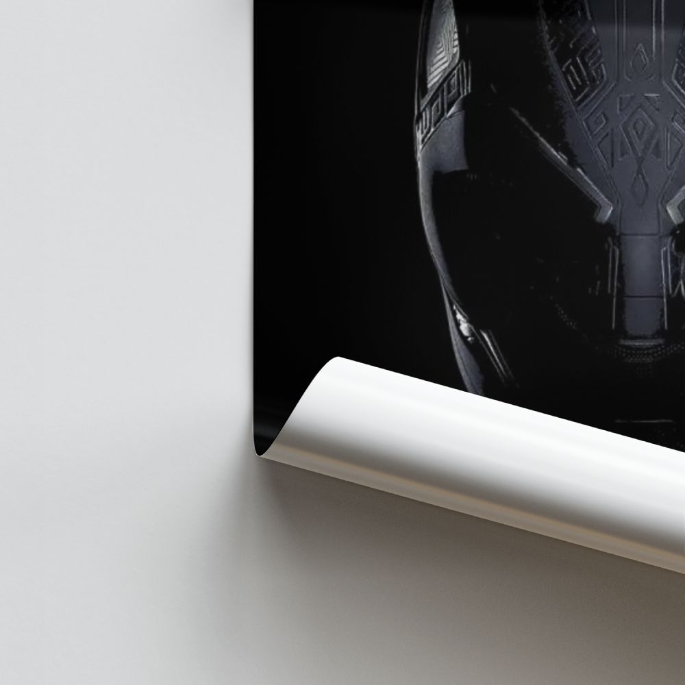 Poster Black Panther Costume