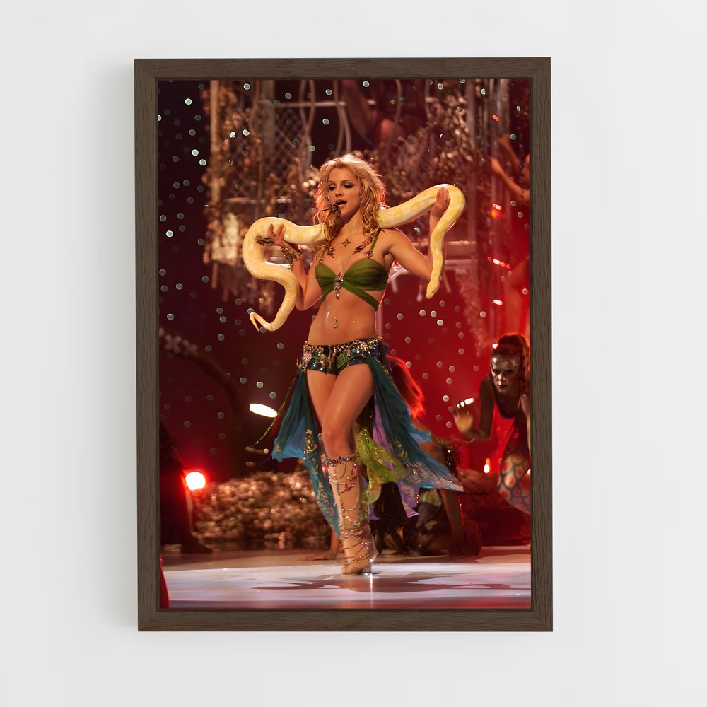 britney-spears-10 cadre Bois foncé