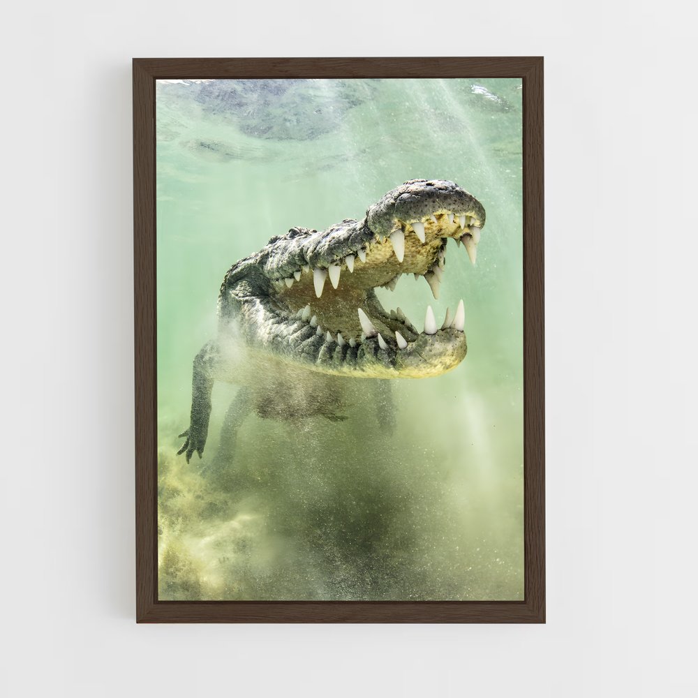 crocodile-9 cadre Bois foncé