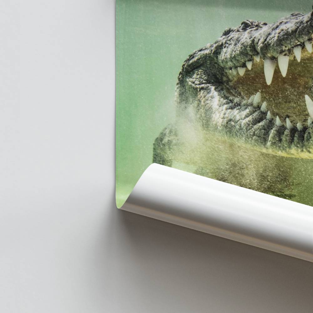Poster di denti di alligatore