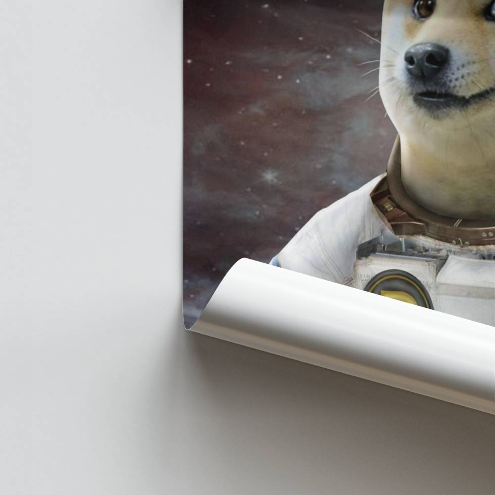 Poster Doge nello spazio