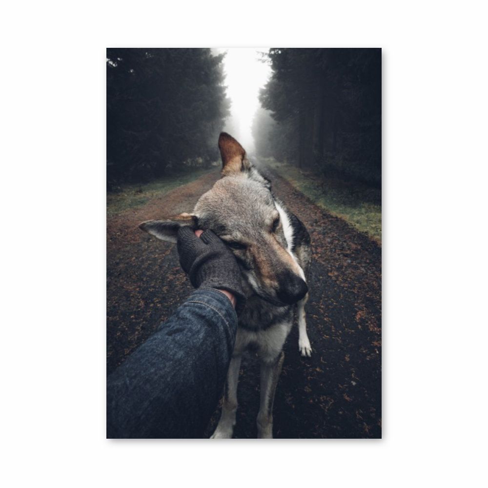 Poster Chien Forêt