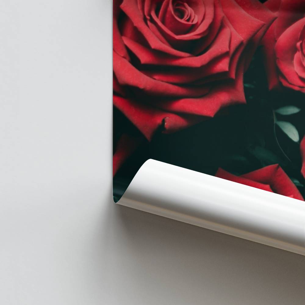 Poster Roses Écarlates