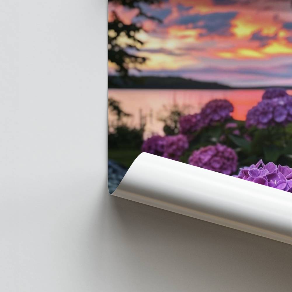 Poster di ortensie al tramonto