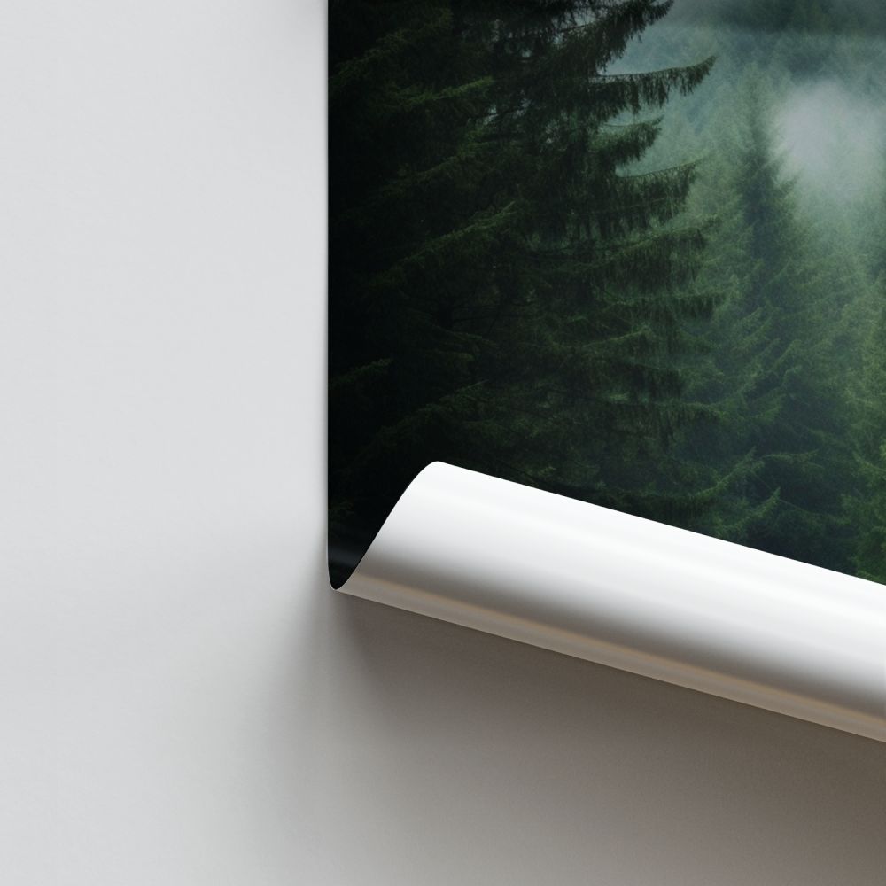 Poster Forêt Santier