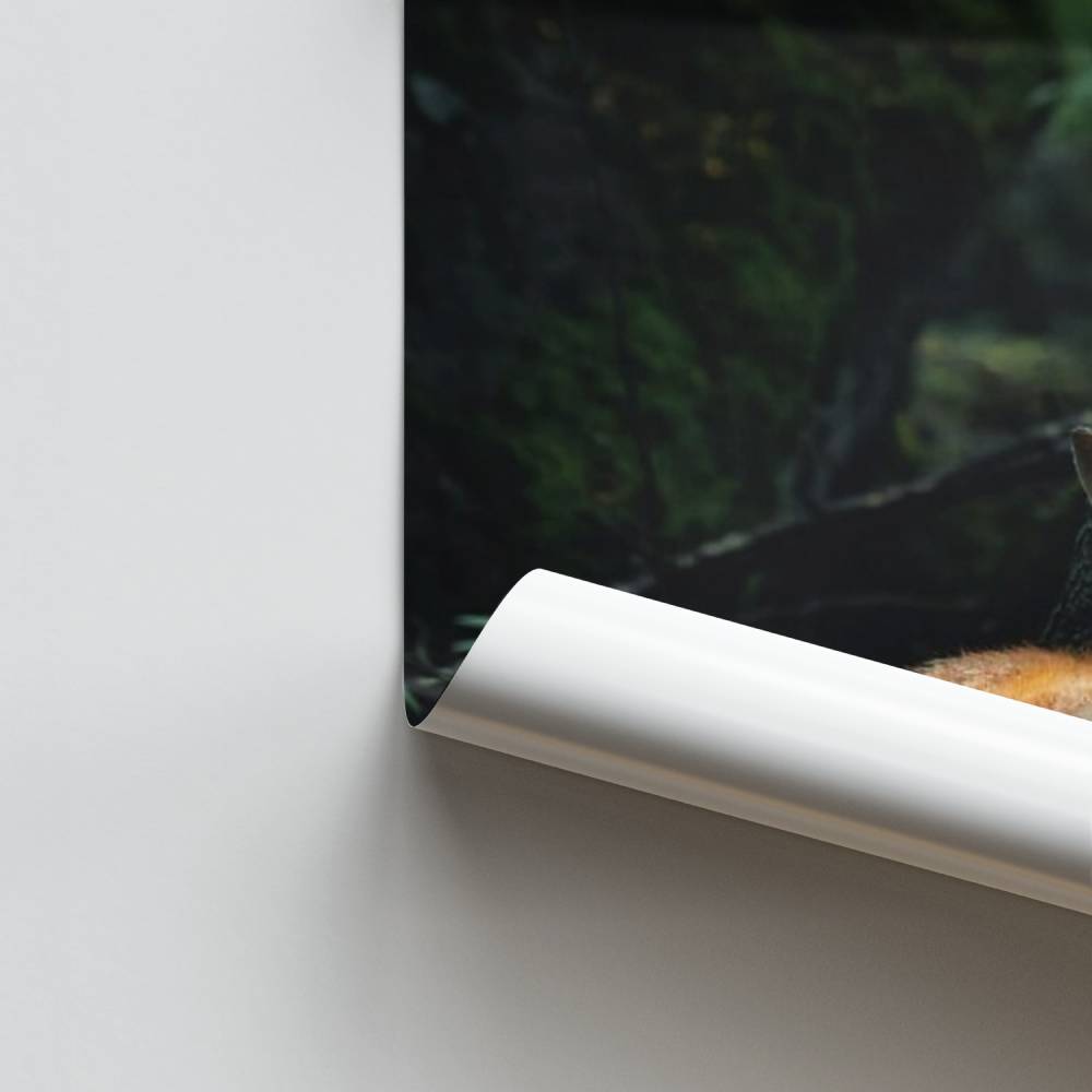 Poster di volpe della foresta