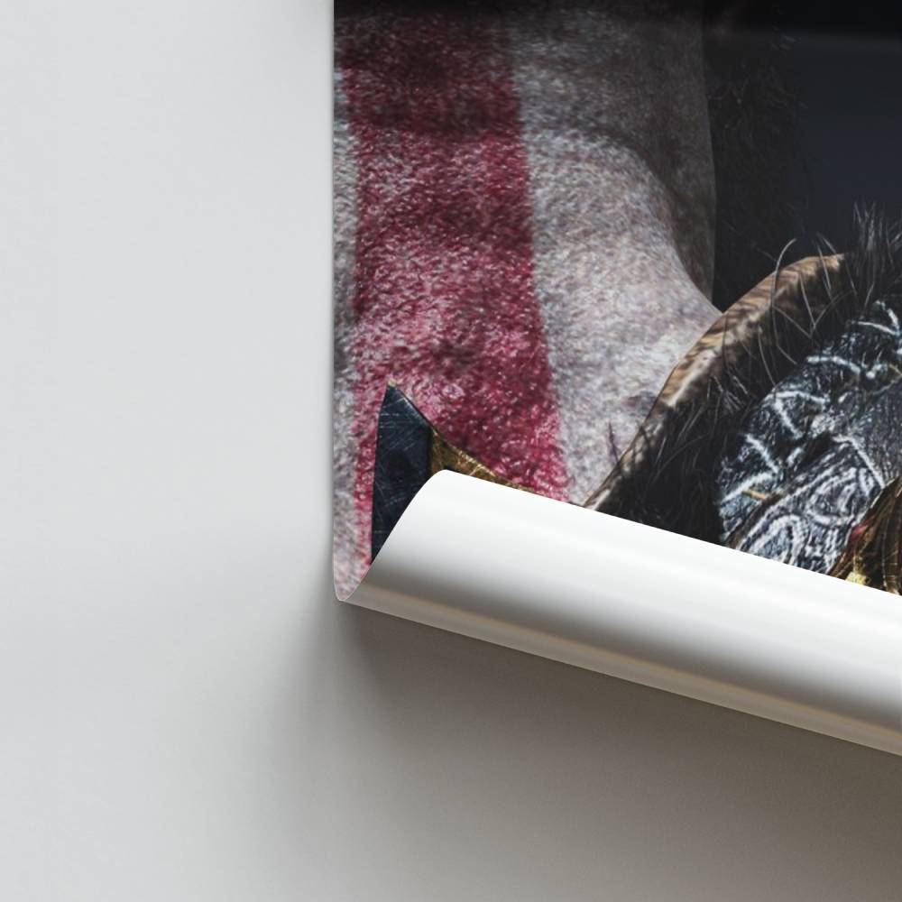 Poster del guerriero nordico