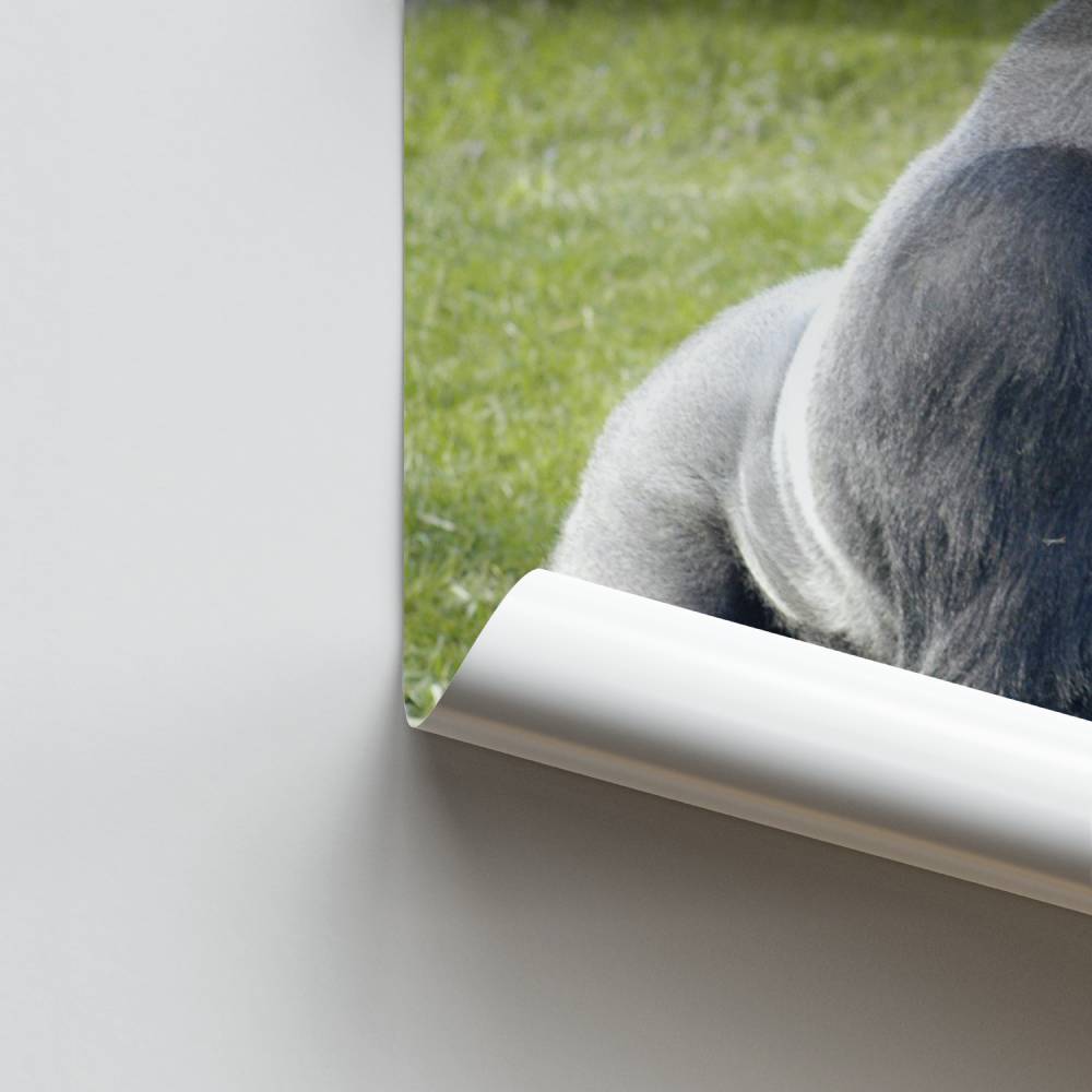 Locandina della forza selvaggia